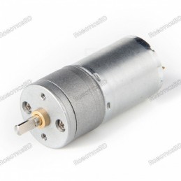 High Torque Gear Motor 12V 100RPM 25GA