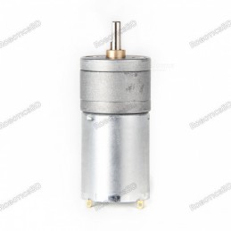 High Torque Gear Motor 12V 100RPM 25GA